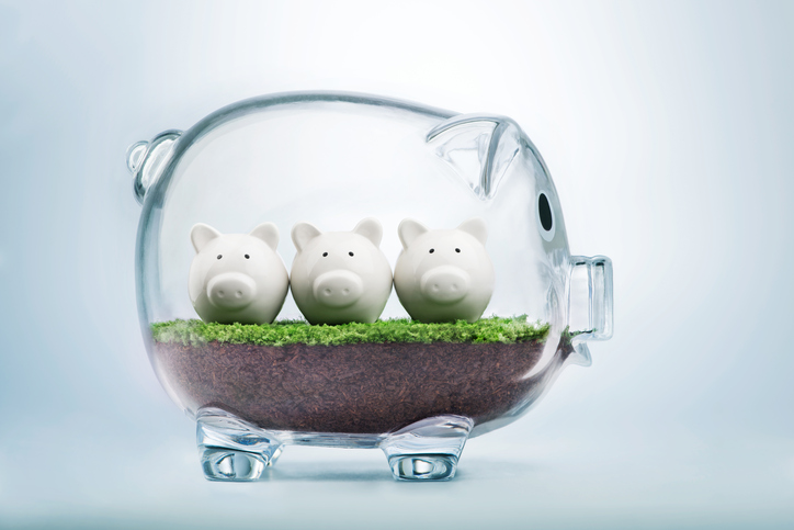 Mid Cap Funds